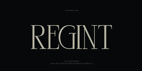 Fototapeta premium Elegant Font Uppercase Lowercase and Number. Classic Lettering Minimal Fashion Designs. Typography modern Serif fonts regular decorative vintage concept. vector illustration