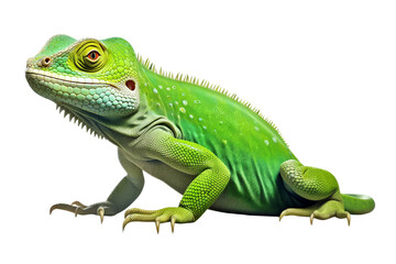 Green Lizard Isolated on Transparent Background, PNG, Generative Ai