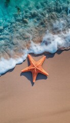 Fototapeta na wymiar Top view of colorful starfish on the beach. Sand and seashore.