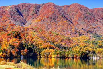 秋の青木湖