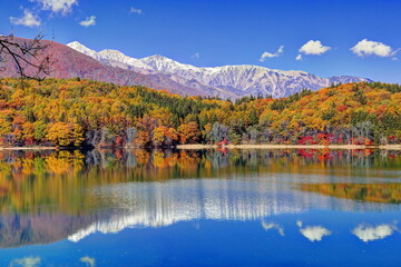 秋の青木湖と白馬連峰 - obrazy, fototapety, plakaty