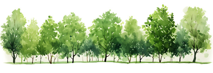 Green trees watercolor horizontal banner isolated on white background