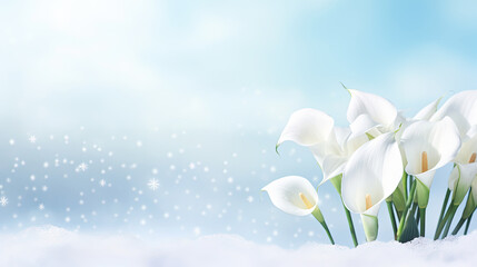 spring flowers in snow, A white calla lily sending off snowflakes over a serene winter landscape - obrazy, fototapety, plakaty