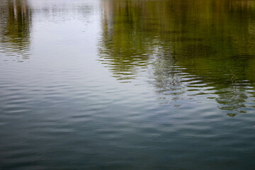 The surface of the water keeps its secrets. Water reflects on its surface everything that is nearby. The structure does not change, only the color is transmitted.