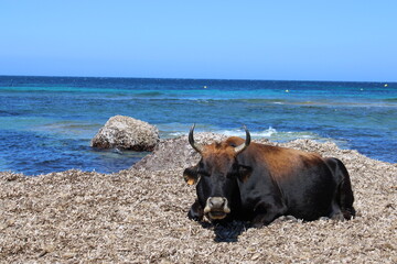 En d&eacute;tente...