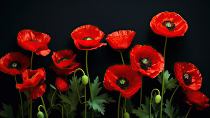 Beautiful field of red poppies on blur background