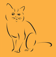 illustration of a cat