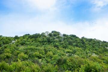 Fototapeta na wymiar Green bushes on rocks, sky background