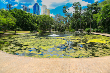 Brisbane City Botanic Gardens with Oakman's Lagoon. Water pond with fountain close to Brisbane city...