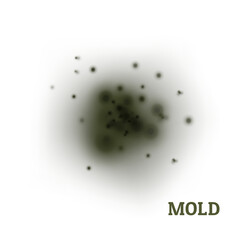 Black mold. Fungus, the wall of an apartment, a house, poisonous spores. Toxic health effects. Spot in the center on a light background. Vector realistic illustration.