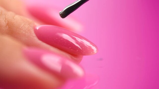 Applying Nail polish, pink shellac UV gel, varnish, manicure process concept in beauty salon. Transparent top coat drop on brush. Over pink background. Application of nail polish close up