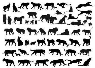 Set of wild cats, vector silhouettes.