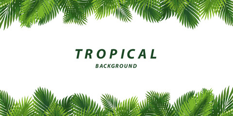 coconut palm leaves tropical border background