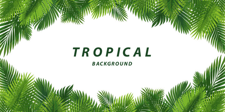 coconut palm leaves tropical border background