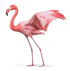 Foto op Canvas flamingo with spread open wings © FP Creative Stock