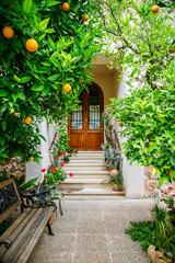 Cozy patio with orange tree and a bench in a small Spanish village