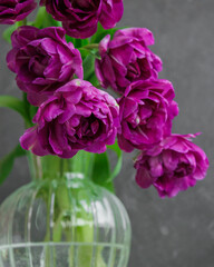 bouquet of gray red lilac tulips in glass vase on dark background. flower bouquet in vase on table. Gift interior decoration. florist, decorator. Flower shop.