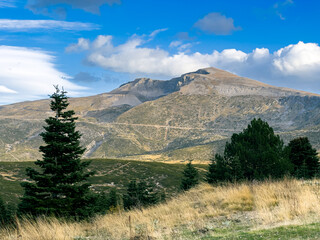 pine trees in the foreground landscape from Uludag in the background,space for text