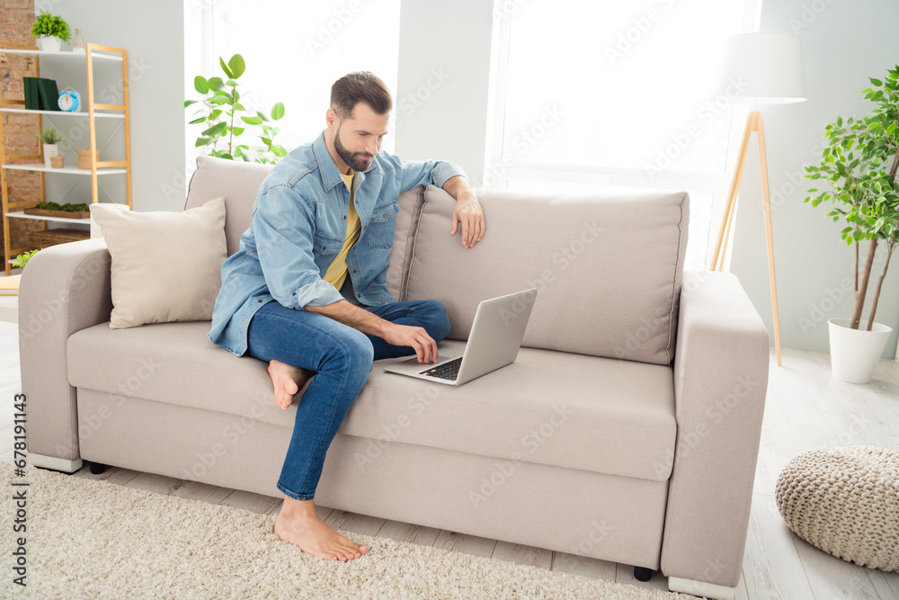 Sticker Full size profile photo of positive person sit on couch look use laptop have good mood free time hone indoors