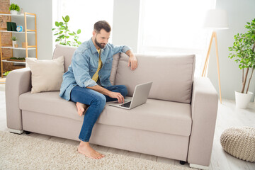 Full size profile photo of positive person sit on couch look use laptop have good mood free time...