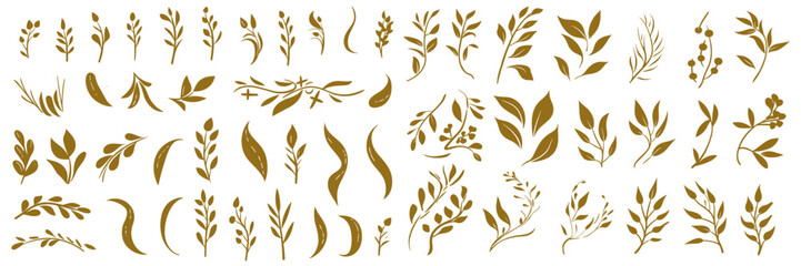 Gold Botanical Silhouettes Collection. Botanical set sketch flowers branches and leaves