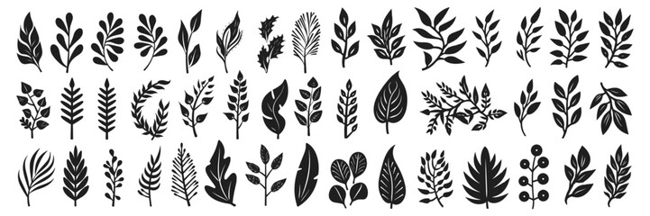 Set of elegant silhouettes of flowers, branches and leaves. Thin hand drawn vector botanical elements