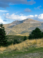 pine trees in the foreground landscape from Uludag in the background