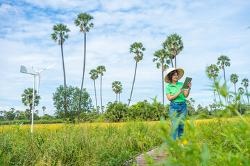 Modern farmer woman use tablet technology improve rice productivity in rice plantation field