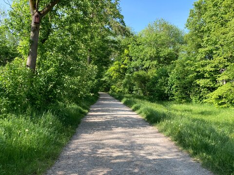 678197797 Landschaft gerader Weg in Bayern im sommerlichen Mai