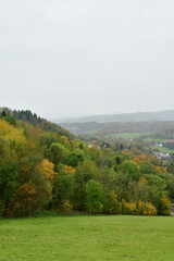 Fototapeta na wymiar Autumn Forest colorfull german odenwald fall