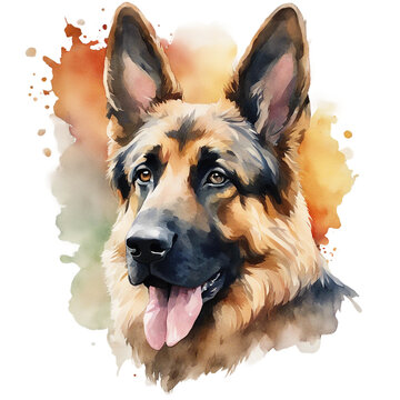 watercolour german shepherd dog