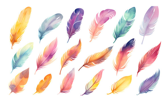 Multicolor feather watercolor hand drawn illustration set