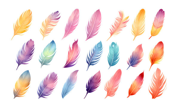 Multicolor feather watercolor hand drawn illustration set
