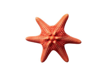 Image Featuring a Starfish on Transparent Background, PNG, Generative Ai