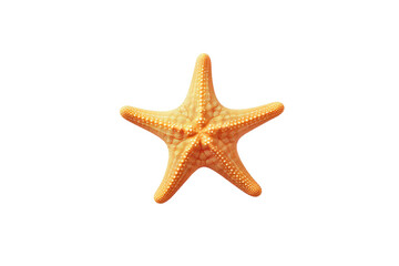 Fototapeta na wymiar Image Featuring a Starfish on Transparent Background, PNG, Generative Ai