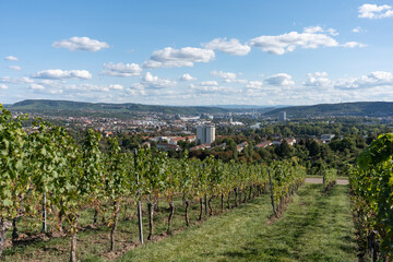 Fototapeta na wymiar A beautiful view of the city through a vineyard. A city in Germany amidst hills. Beautiful clouds drift in the sky above the city.