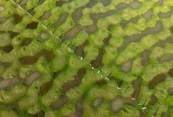 a beautiful view. Karagol plateau. sakarya black lake