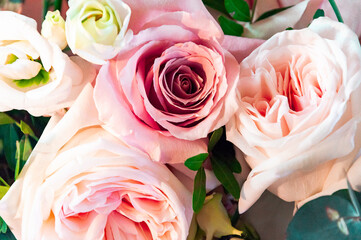 Bouquet of rosebuds with delicate shades of pink, beige and green petals close-up for greeting card.