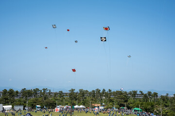 浜松まつりの凧揚げ