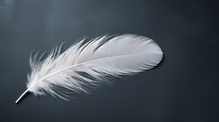 A close up of a white feather