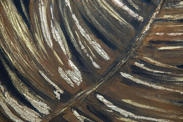 Part of a tropical leaf in beige-brown color drawn with oil paint. Background for cosmetics.