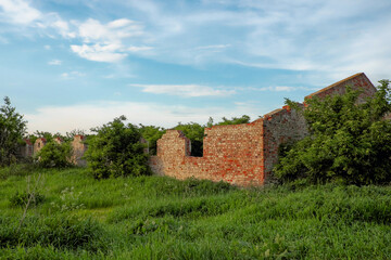 A wall in a state of disrepair, surrounded by a forest, is depicted in the image.