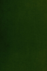 Fototapeta premium green textured background. useful for design
