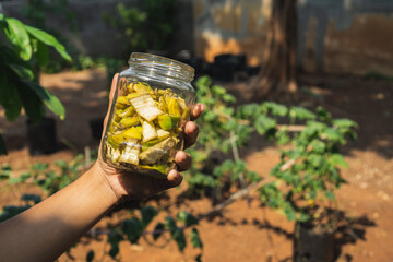 man holding a banana peel inside a glass jar, organic fertilizer from a food waste