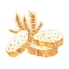 Watercolor food illustration bread baguette slices with wheat ears. Hand drawn on white background. For menu design, logo, cafe, restaurant