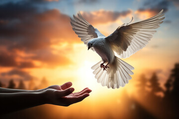 "Symbol of Freedom, Hands Releasing Dove into the Air"