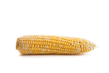 Sweet corn isolated on a white background..