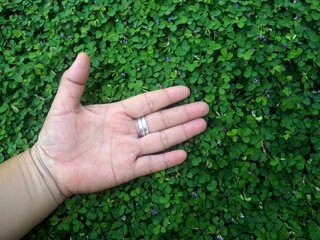 green leafe cover and human hand feet show up sign of love and fight 
