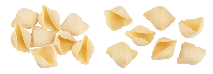 Conchiglioni italian pasta isolated on white background. Top view. Flat lay
