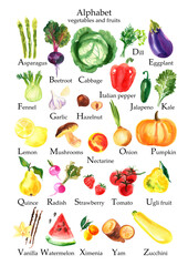 Alphabet fruits vegetables food watercolor. Poster with letters